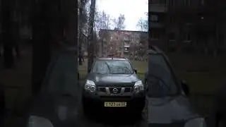 Смешная Ворона и Кость Прикол