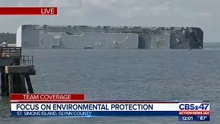 Capsized cargo ship: Focus on environmental protection