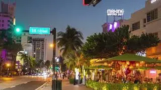 Catalina Hotel and Beach Club - Miami Art Week 2024!