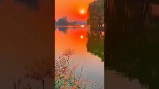 Surah Al Baqarah #allah #quran #shortsfeed #shorts #status #sunset #water #youtube #youtubeshorts