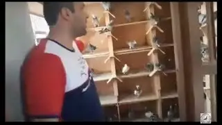 POMBAL ROMNEY PADILHA LIVE DA ENACOL