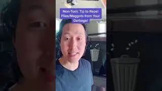 Non-Toxic Tip to Repel Flies From Your Garbage! #shorts