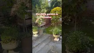 Our magical garden 🪴 #nature #london #travelvlog #visitengland #europeantravel #travelvloguk #trip