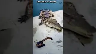 This is Funny Crocodile Vs Robot 🐊#crocodile #nature