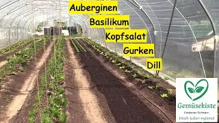 Tipps und Tricks beim auspflanzen (Pflanzlochbohrer, Dünger, Schafwolle, anbinden Jungpflanzen uvm.)