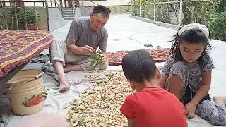 Namangan shahar Namangan tumanidagi Xandon pista kochati va mevalari oladigonlarga uruglari bor