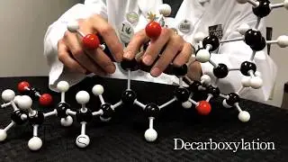 Decarboxylation Explained by Scott Churchill at MCR Labs