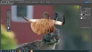 Animal morph-Layer masking in Photoshop