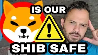 Shiba Inu Coin | Are Your #SHIB Safe?