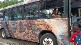 Conociendo el PUMABUS de la @facultaddeestudiossuperior1733  de la @unam