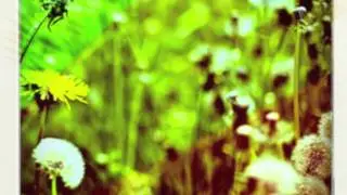 Love not Money - Volfoniq ft Solo Banton