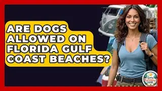 Are Dogs Allowed On Florida Gulf Coast Beaches? - The Family Getaway Guide