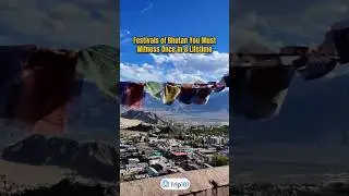 5 Bhutan Festivals That Will Blow Your Mind! 😲🇧🇹 #shortsvideo #shorts #bhutan