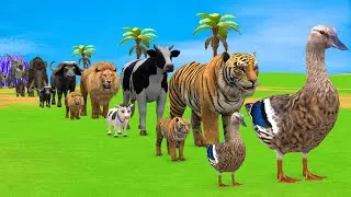 Long Slide Game with Cow Elephant Gorilla Hippopotamus Tiger 3d Animal Game Funny 3d Animals