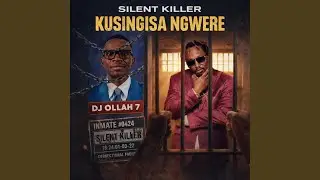 Kusingisa Ngwere (Dj Ollah7 Diss) (feat. Silent Killer Ngwere) (Radio Edit)