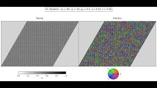 Random Initial condition forms a Immobile Band with velocity 3 as majority