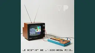 L&rsquo;Amour du Groove