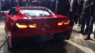 2014 Chevrolet Corvette C7 Stingray- Exhaust Sound & Loud Revs