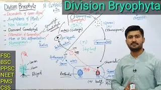 9.2 Bryophytes | Life cycle of Bryophytes | Alternation of generation | Fsc MDCAT NEET Ppsc and CSS