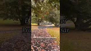#d_frasesdiario #fy #foryou #pravoce #tipografia #letras #legendas  #tocandoemfrente #almirsater