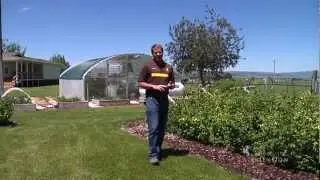 Master Gardener Program | From the Ground Up