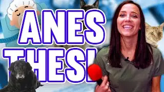 ANESTHESIA ISN'T SAFE FOR OLDER PETS? | S3, Episode 6 | Mythbusters