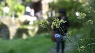 Aguincho / Foz de &Eacute;gua / Piod&atilde;o - Travel Compilation