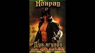 Аудиокнига 