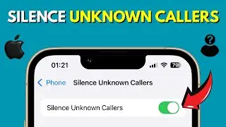 How to Silence Unknown Callers on iPhone