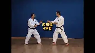 Wadō ryū 和道流 Kihon Kumite 1 10 基本 組手