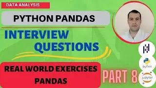 Real-World Data Analysis with Python Pandas - Interview (Part 8): Exercises and Insights