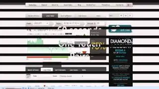 BeeOptions Review   Is BeeOptions Scam