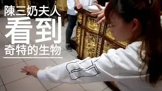 陳三奶夫人之辦事花絮
