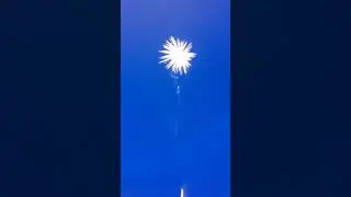 skyscraper 30 shot heavyweight cake by brothers brand fireworks