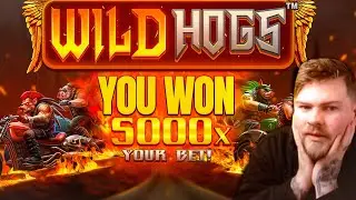 WORLDS FIRST EVER MAX WIN? Wild Hogs Super Bonus Buy JACKPOT!