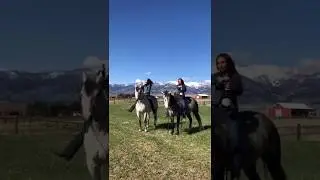 Girls open a bottle of champagne on horses and regretted it