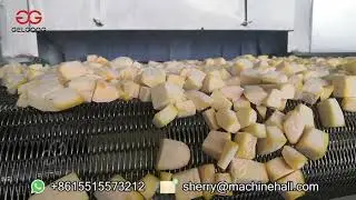 IQF Tunnel Freezer for Mango