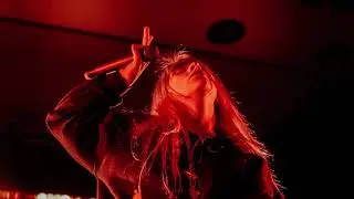 billie eilish - when the party's over (redrose remix)