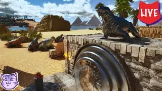 Welcome to House Moschops : Fat Frog's Medieval Swamp Challenge