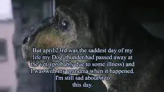 My History With Depression ( Imagine Dinosaurs Mirror) LOLOL, READ DESCRIPTION FOR CONTEXT