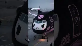 Kyromi Plane is taking off soon! #plane #kuromi #fluffy #travel