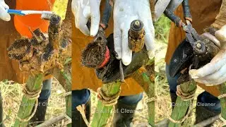 Fixing a severely damaged cow's hoof in an extreme manner #Cow Hoof Cleaner