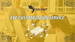 ERP CUSTOMIZATION SERVICE - LEVINCI