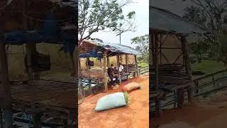 Mangalajodi 😍 Bird Sanctuary || Tangi Khordha || Mangalajodi Nature Camp || Mangalajodi Chilika