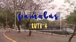 Pumab&uacute;s - ruta 4