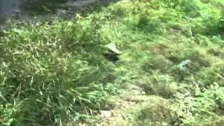 Camalote Resident Shot and Killed in Roaring Creek