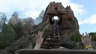 We Had A Wild Time At Disney's Animal Kingdom!!!