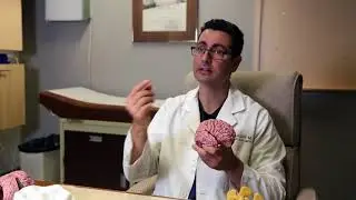 Pain explained by a Neurosurgeon. there is a Map in shape of a Person on your brain