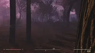 treehouse Fallout 76 Camp