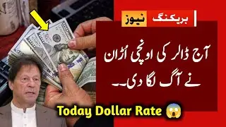 Today Dollar Rate in Pakistan | Dollar into PKR | Pakistani Currency Price | Ultra News
